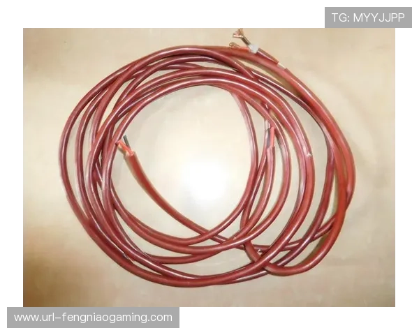 丹麦名将米娅力克队友晋级决赛 将与瓦尔达尼争夺冠军