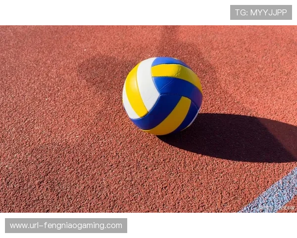 商洛气排球队伍数量突破500支，全年1200场比赛带动全民健身热潮